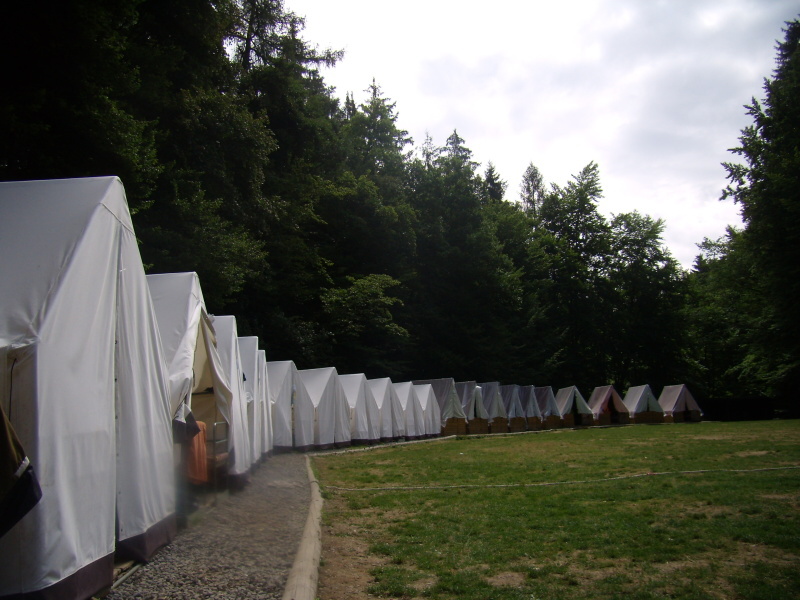 P7220570.JPG